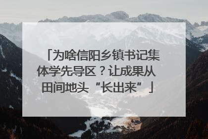 为啥信阳乡镇书记集体学先导区？让成果从田间地头“长出来”